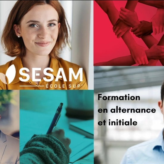 Sesam Ecole'sup WordPress Refonte de site.